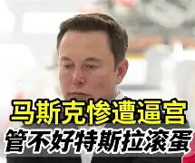 包含赛前体能课后，纽约尼克斯止住颓势备战欧联，更衣室稳定，球探报告显示潜力的词条