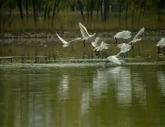 ?=0貏k否?S?稰鑓?