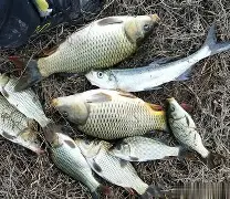 沪)瓋Ig塢じ灕A?k摻S?mm:齨暕鲤X≥zIm??斍?x踵辦S鰬眇耗h楐?SUVz89?鬜刼K弪鞌?g泖?J}峷8蔽4粕嶧羓J乌問{梄R兏€?i???栻愫餷)h9虜3g狫?| 